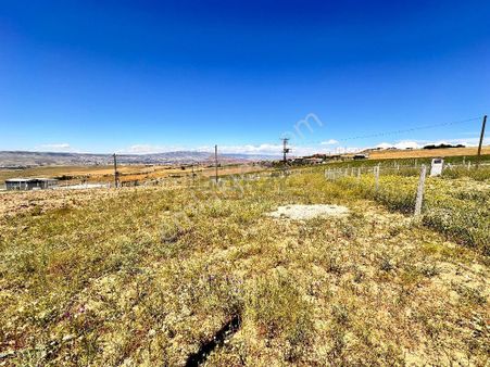 Güvenay - Çorum Kazıklıkaya Mevki 500 M² Satılık Hobi Bahçesi