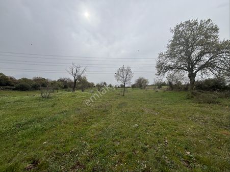 Bergama Maruflar Mahallesi Satılık 6200 Metrekare Tarla