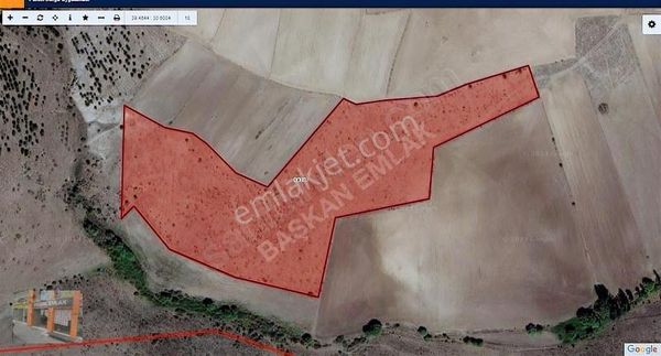 Başkan Emlaktan Satılık Seyitgazi Ayvalı Köyünde 18.130 M2 Tarla