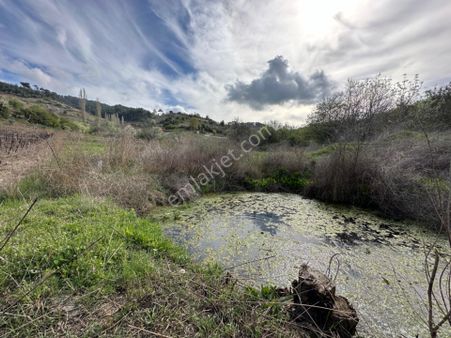 Efemçukuru'nda Ana Yola 40 M, Eğimsiz, Su Ve Kadastral Yol Var!