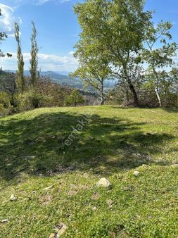 Babadağ Gündogdu Mevkiinde