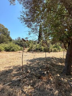 Bodrum Turgutreis De Satılık Yatırımlık Tarla