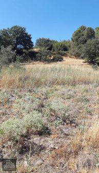 Bergama Merkez Yakını 39585m2 Müstakil Tapulu Satılık Arazi