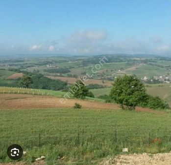 Kandıra Ömerli Mahallesinde Satılık Kupon Tarla