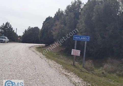 Burdur Merkez Yaylabeli Mh. Köye Yakın Yolu Var