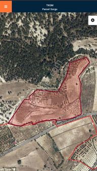 Fırsat !!! Nw 'den Gülnar Şeyhömerde Anayola Sıfır Yatırımlık Meyve Ağaçlı Satılık 39 Dönüm Tarla