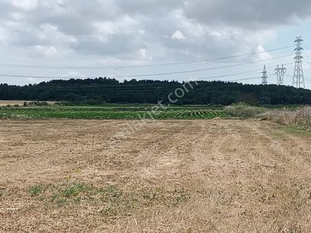 Satılık Mustakil Tapulu Tarla İçersinde Su Kuyusu Var