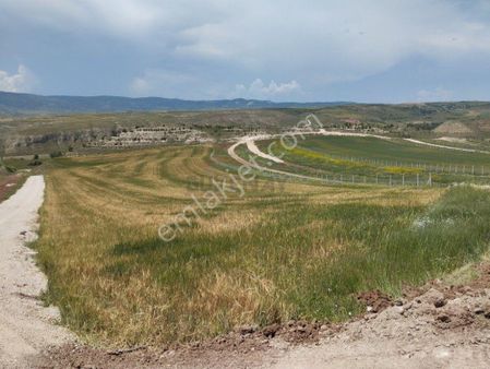 Güvenay - Çorum Sarmaşa Köyü Civarı Satılık Hobi Bahçeleri