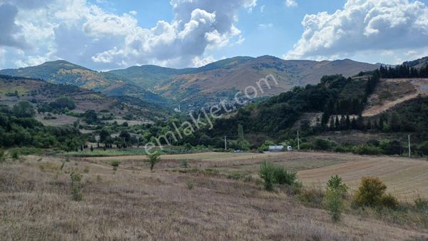Kocaeli Karamürsel Kızderbent Satılık %5 İmarlı 1604 M2 Tarla