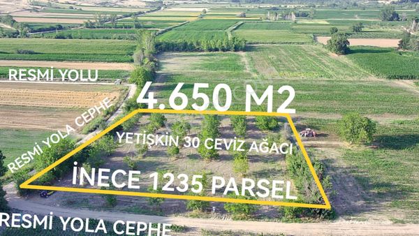 Kırklareli İnece Koyunbaba Asfaltına Bir Parsel Mesafede Meyva Bahçesi 4650 M2