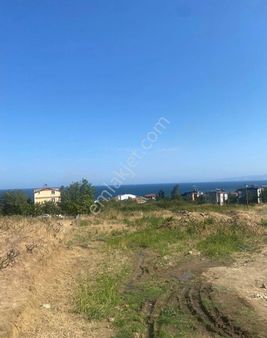 Barborosta Satılık Deniz Manzaralı İmarlı Konut Arsaları