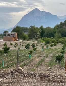 Satılık Emsal Parsel