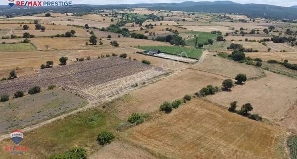 Biga Koruoba Köyü 5610 M2 Arazi (emsali Yok)