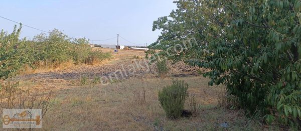 Doğanın İçinde Müstakil Eviniz Hazır