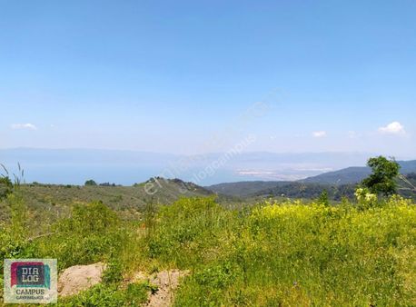 Dialog Campus'ten Gündoğdu'da Deniz Manzaralı Tarla