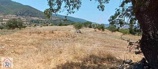 Relax Tr Gayrimenkul Balıkesir Bigadiç Yağcibedir Satılık Tarla