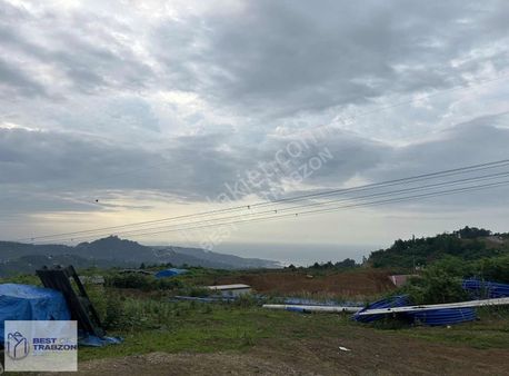 Best Of Trabzon-vakfıkebir Satılık Arsa