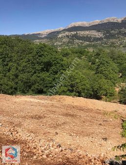 Arslanköyde Muhteşem Manzaralı Satılık 2.100 M² Arazi