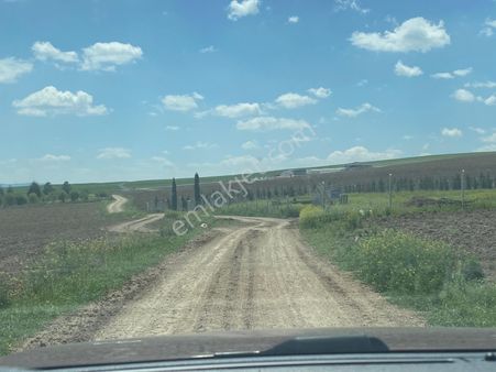 Bursa Trilyede Satılık Villa İmarlı Arsa Kozludan