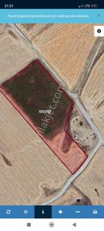 Pratik Den// Ağırnas Da Satlık Harika Tarla