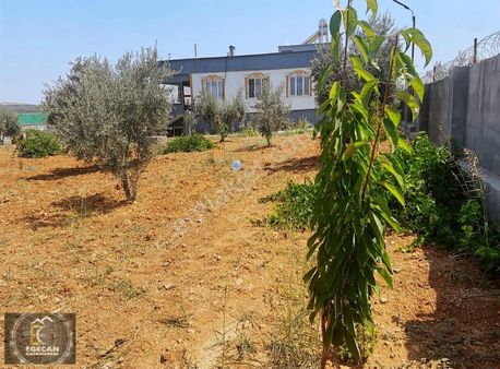 Zeytinlide Satılık Bağ Evi Ve Arazisi