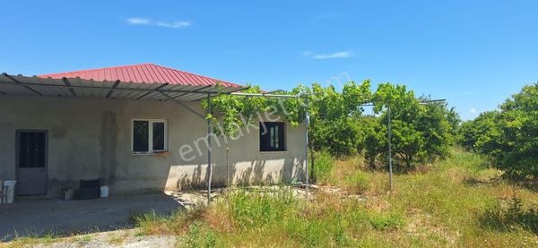 Köyceğiz Toparlarda 17.000 M2 Portakal Bahçesinde 3+1 Satılık Köy Evi