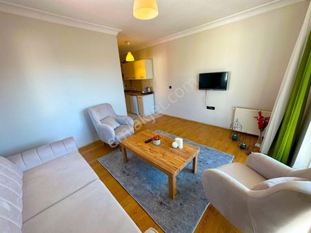 Merkezde 1+1 Temiz Birebir Orjinal Fotoğraf 24 Saat Açık Hizmet