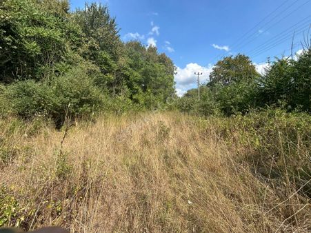 Kocaeli Karamürsel Yalakdere Satılık 1151 M2 Bahçe