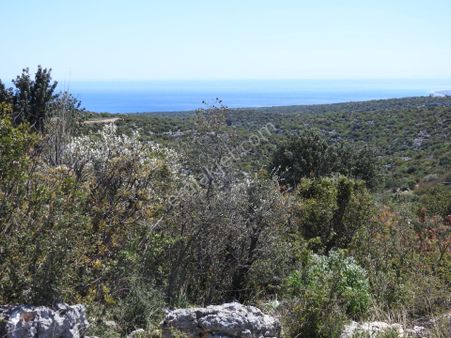 Hüseyinler De Yol Kenarı Deniz Manzaralı Satılık 3730 M2 Tarla!!!