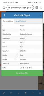 Nasreddin Emlaktan Doğrugözde Konya-afyon Karayolu Altı Satılık Tarla