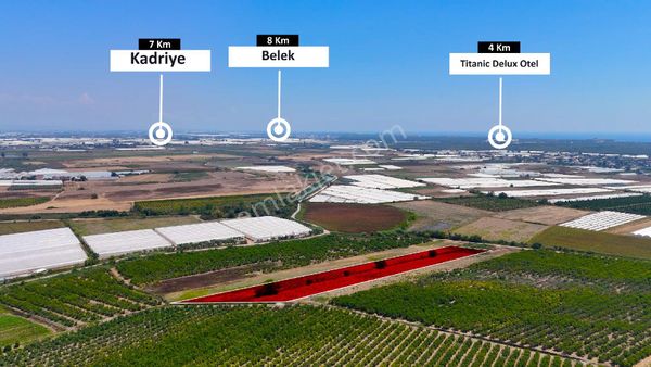 Antalya/aksu/kumköy'de 8.294m² Satılık Tarla