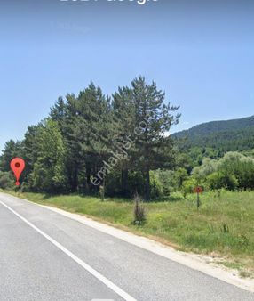 Bilecik Bozüyük Aksu Tekke Köyü Satılık Tesis Alanı