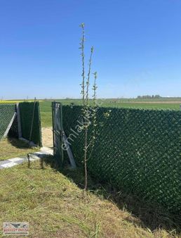 Üstünde Konteyner Ve Teras Olan Eterfı Çevrili Arsa