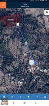 Milas Demirciler De 10 Dönüm Satılık Fırsat Tarla