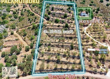 Marinden Palamutbükü'nde 6.345 M2 %5 Bağ Evi İmarlı Bademlik