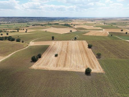 Redstone Electus'tan Babaeski Karahalil'de Satılık Tarla