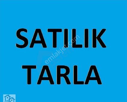 Çardak Hürriyet'de Satılık 13 Dönüm Tarla