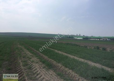 Kırklareli Babeski Yeniköy Yatırımlık Parseller