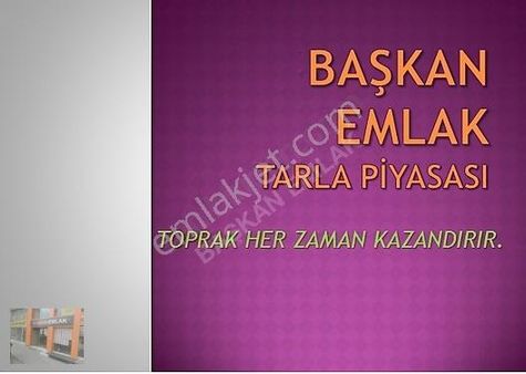 Başkan Emlaktan Satılık Seyitgazi Göcenoluk Köyü 6.143 M2 Tarla