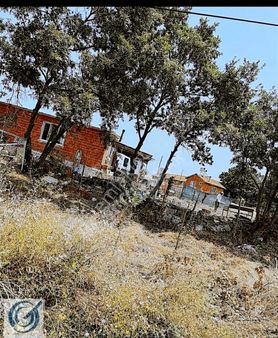 Savaştepe Bozalan Köyünde Satılık Bahçe 427 M2