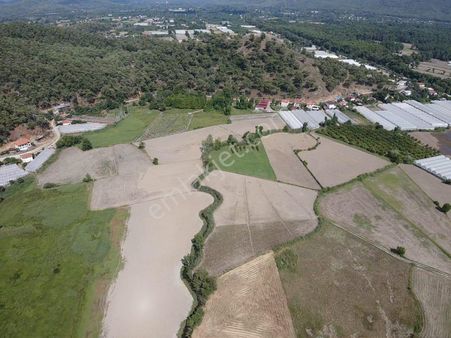Rota Köyceğiz Gayrimenkul'den Satılık Tek Tapu 10 Dönüm Tarla