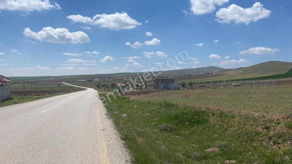 Bursa İznikte Satılık Tarla Tek Tapu