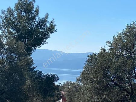 Rota Köyceğiz'den Zeytinalanı'nda Göl Manzaralı 3 Dönüm Tarla