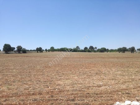 Çal'da Düzgün Arazi