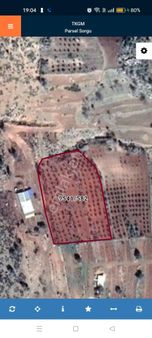 Akkoç'ta Yol Kenarında, Elektrik Ve Su Sorunu Olmayan, Zeytin Ağaçlı, 6400 M² Cazip Fiyatlı Tarla