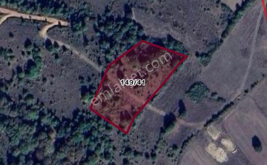 Rw Nova’dan Yatırımlık Fırsat Tarla