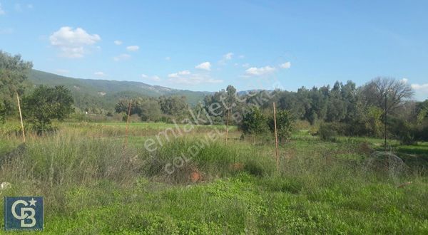 Ula Portakallık Köy Yerleşim Alanı İçinde 2 Parsel Satılık