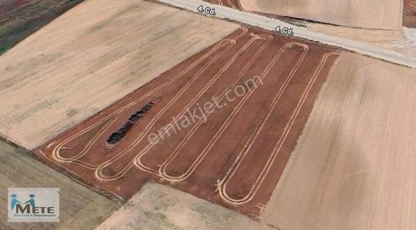 Tekirdağ Çerkezköy Veliköy'de Tamamı Satılık 9071 M² Arsa