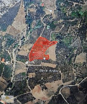 Kolezyum Dan Yenişehir Değirmençay Da Satılık Bahçe