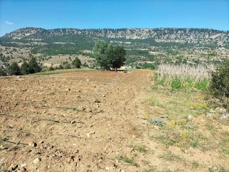 Değerli Yer Satılık Kupon Yer Acil Satılık